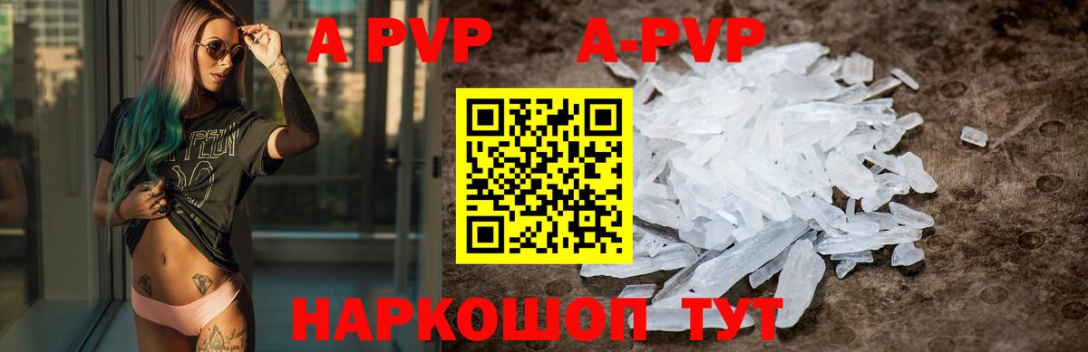 A-PVP Владикавказ