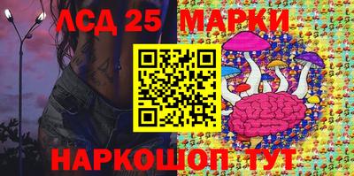 дживик Моздок