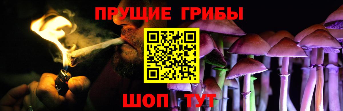 Галлюциногенные грибы GOLDEN TEACHER  Вход с VPN  Владикавказ 